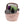 MORRAL W JESTER PINK MOSS
