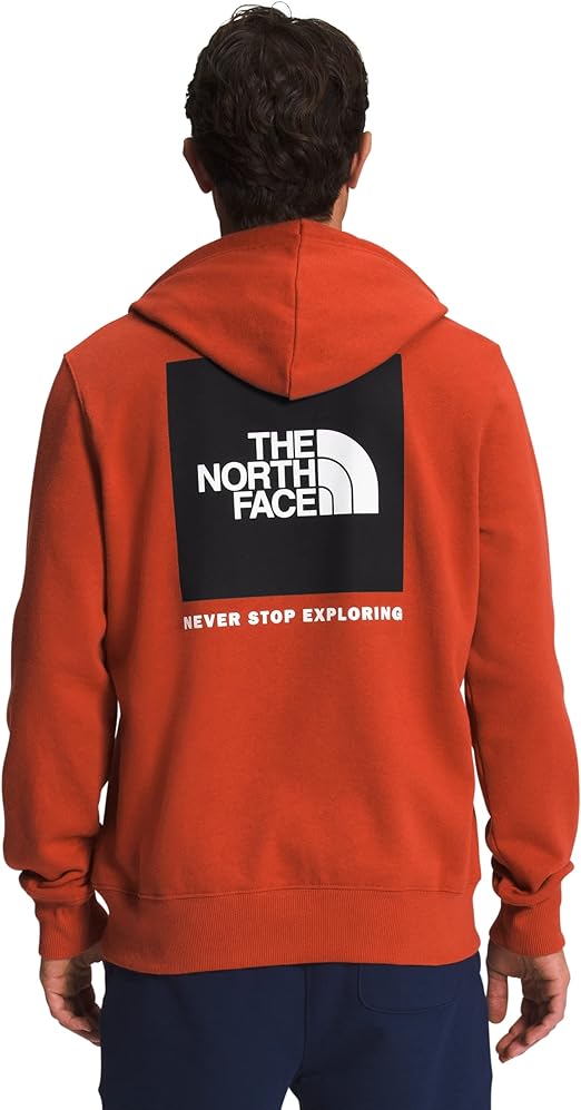 THE NORTH FACE M BOX NSE PULLOVER HOODIE