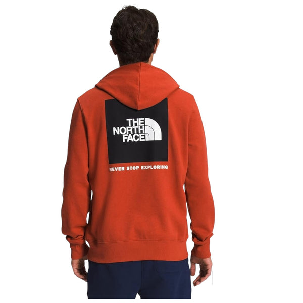 THE NORTH FACE M BOX NSE PULLOVER HOODIE