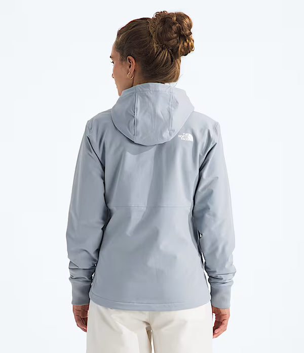SWEATER POLAR THE NORTH FACE W SHELBE RASCHEL FROST GREY